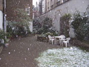 under snow, April 6th 2008