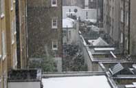 city garden snow
