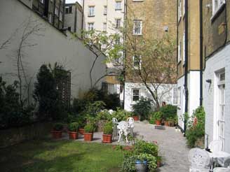 north garden in spring